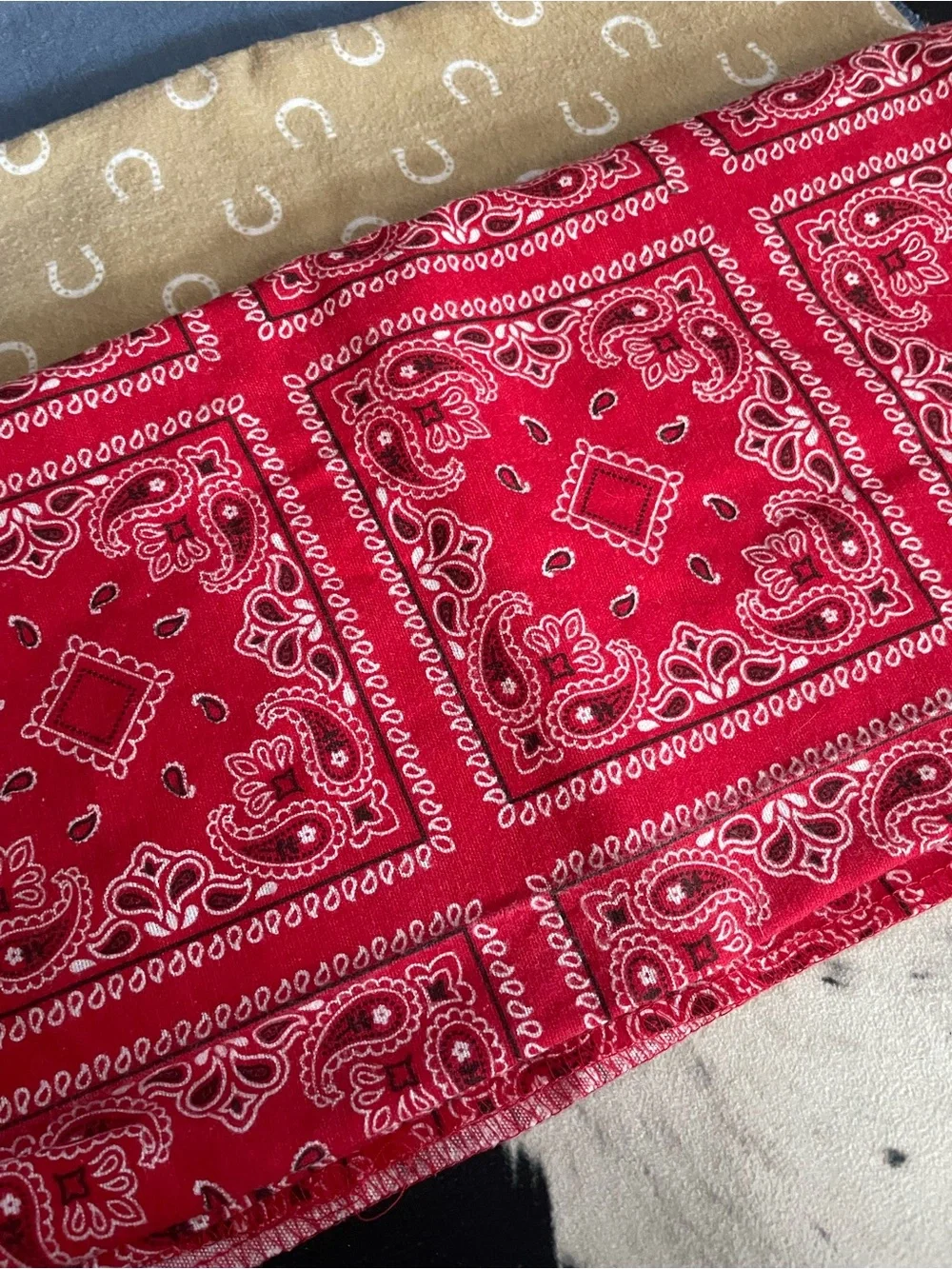 Western Theme Burp Cloths